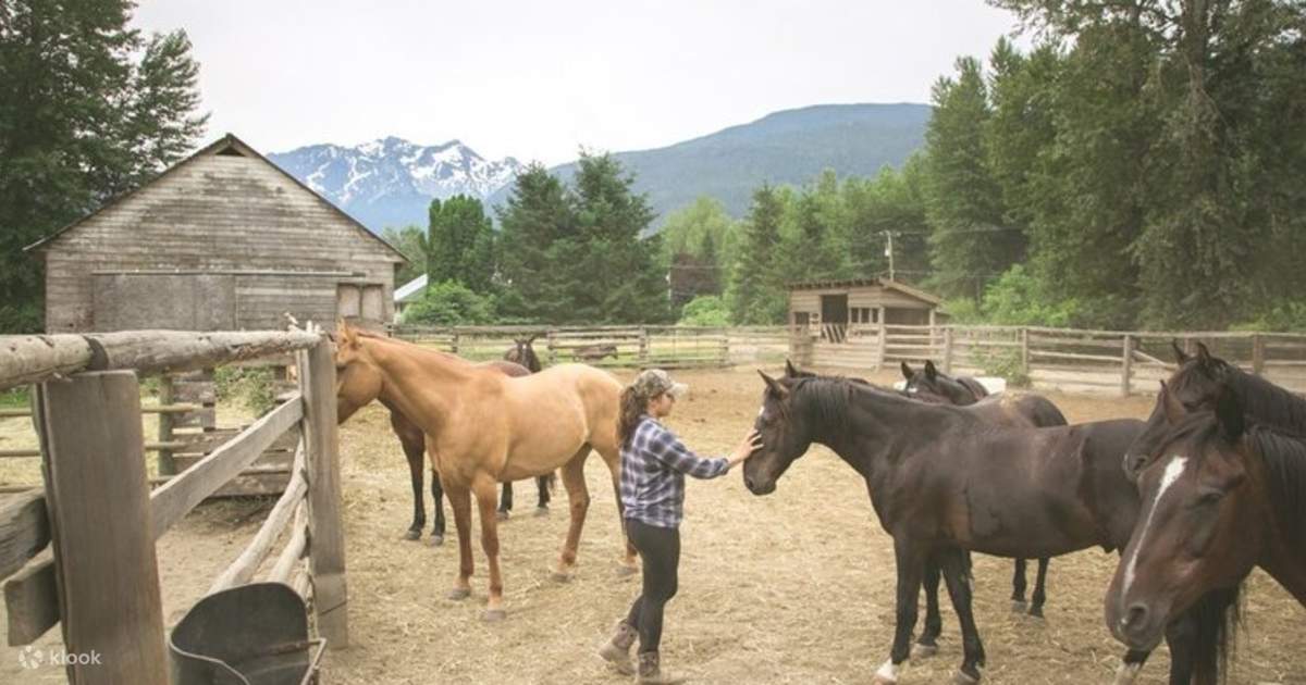 OneHour Pemberton Valley Horseback Riding Experience Klook